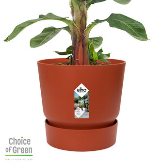 Bananenplant in Elho&reg; Greenville pot (DPmusa21)