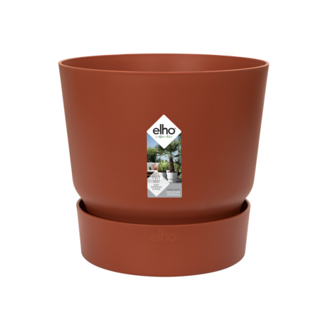 Bananenplant in Elho® Greenville pot (DPmusa21)