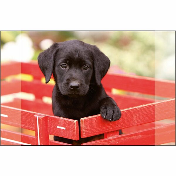 Kangaro Bureauonderlegger Zwarte Labrador Pup 38x58cm