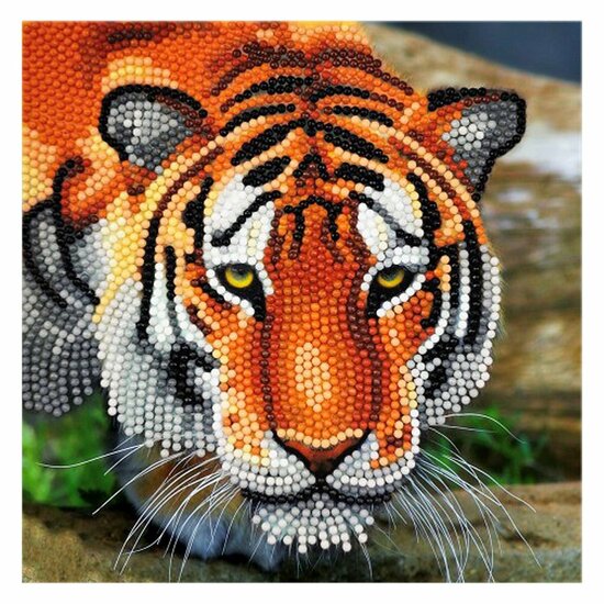 Craft Buddy Crystal Art Kaart Tijger 18x18 cm